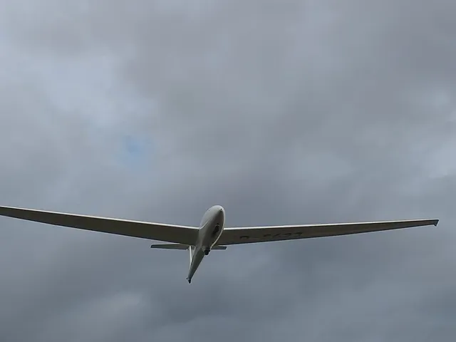 Unsere ASK21 im Endanflug