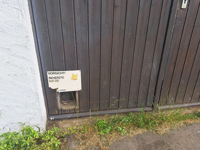Eine Katzenlösung für alle Mäuseprobleme auf Flugplätzen
