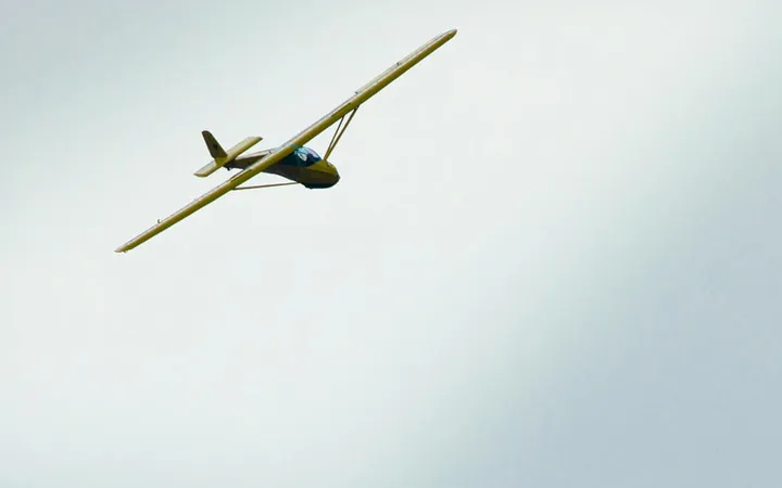 Specht D-1490