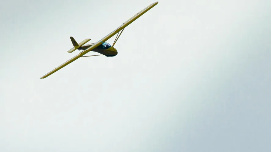 Specht D-1490