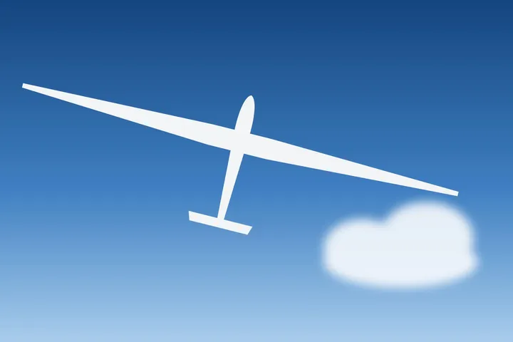 LS4 im Flug